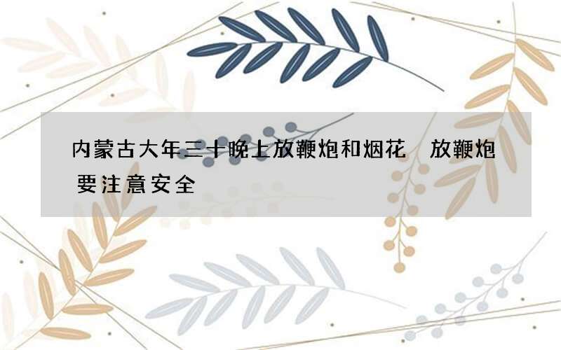 内蒙古大年三十晚上放鞭炮和烟花 放鞭炮要注意安全